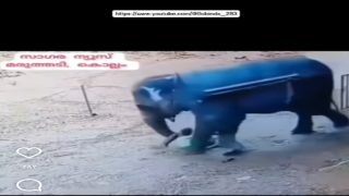 رابط مقطع الفيل انستا دارك ويب 2025 كامل بدقة عالية