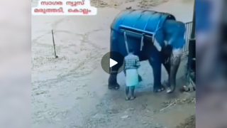 مقطع الفيل والرجل الهندي