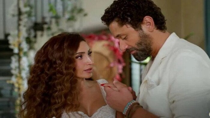 ارتباط دينا الشربيني وكريم محمود عبد العزيز