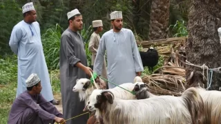 موعد عيد الأضحى ويوم عرفة 2025 في سلطنة عمان