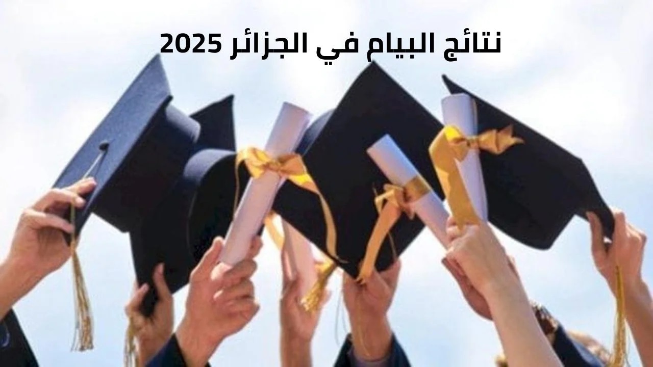 رابط الاستعلام نتائج شهادة التعليم المتوسط 2025