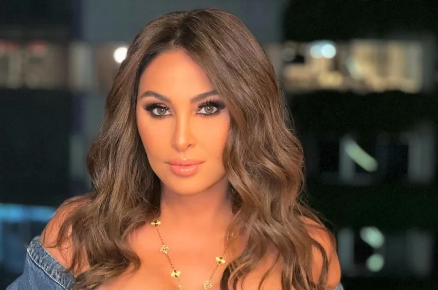 أسعار تذاكر حفلة إليسا في دبي