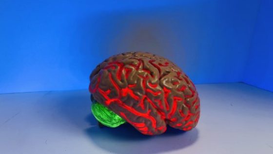 فتح العقل: تطور واجهات الدماغ والحاسوب