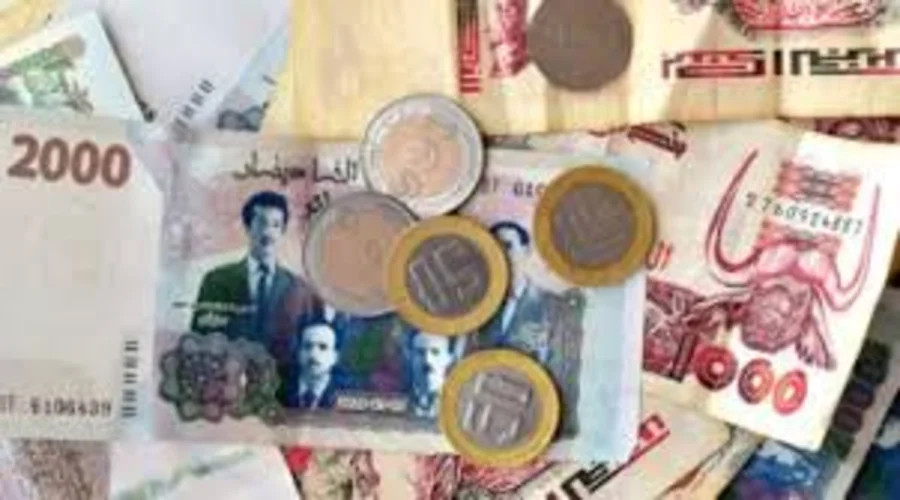 رابط منصة pdip الرقمية للحصول على دعم 50 ألف دينار