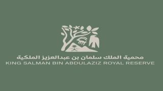 كيفية التقديم على وظائف هيئة محمية الملك سلمان بن عبد العزيز الملكية 2025