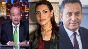 اهانة شادي ريان طليقته دينا طلعت حقيقة أم إشاعة