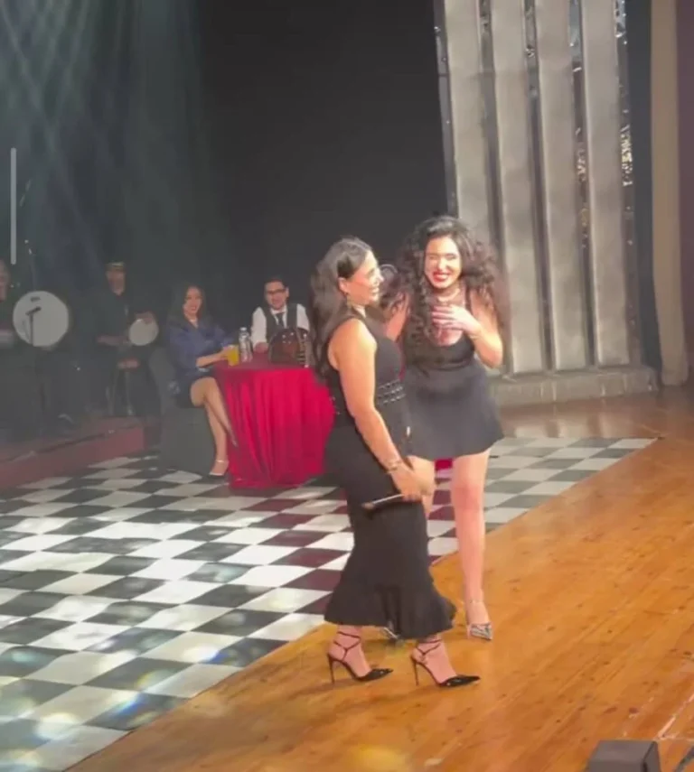 فيديو فضيحة الراقصة دينا على المسرح